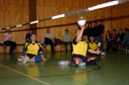 Sitzball